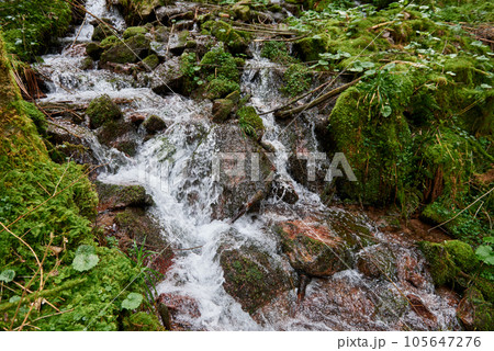 Mountain river water flow in green Alps forest. River stream waterfall in forest landscape. Scenic view of rocky mountains covered with snow located near hooker river flowing through rocks on sunny 105647276
