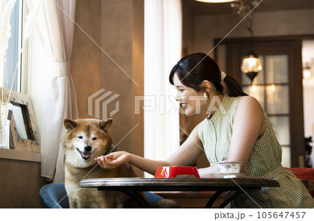 ドックカフェで愛犬に食事を与える若い女性 105647457