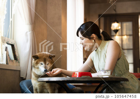 ドックカフェで愛犬に食事を与える若い女性 105647458