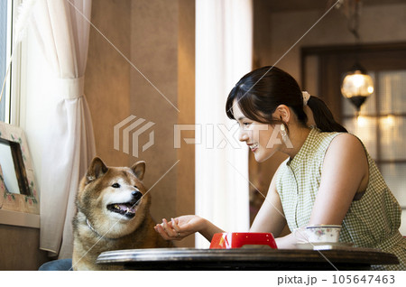 ドックカフェで愛犬に食事を与える若い女性 105647463