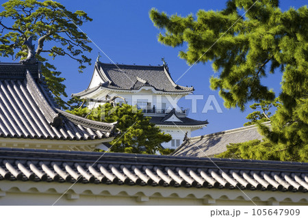 青空に映える小田原城の天守閣 / Odawara Castle, Japan 青空に映える小田原城の天守閣 / Odawara Castle, Japan 105647909