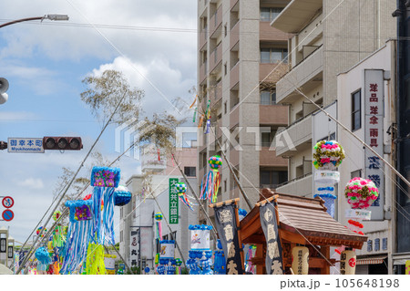 安城七夕まつりの竹飾り 愛知県安城市 安城七夕まつりの竹飾り 愛知県安城市 105648198