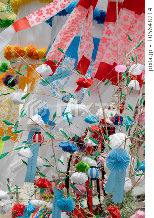 安城七夕まつりの竹飾り　愛知県安城市 105648214