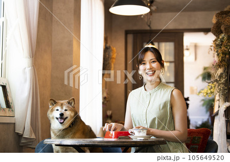 ドックカフェ 若い女性 柴犬 カメラ目線 ドックカフェ 若い女性 柴犬 カメラ目線 105649520