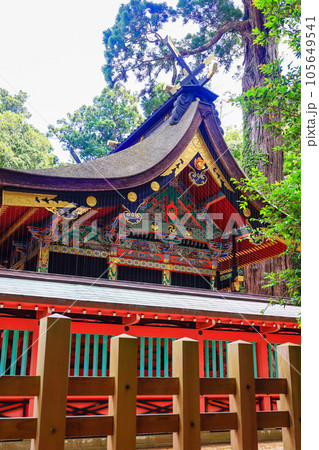 鹿島神宮本殿(縦) 鹿島神宮本殿(縦) 105649541