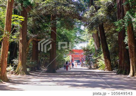 参道と楼門 105649543