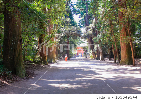 鹿島神宮参道と楼門 105649544