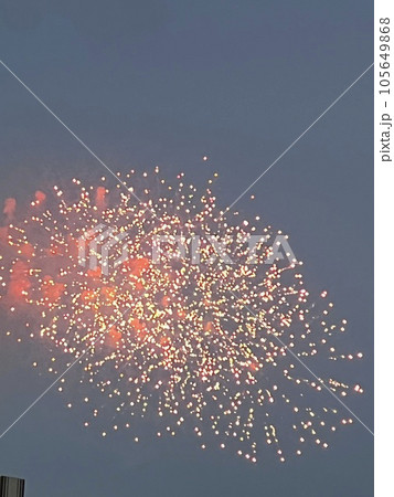 矢作川から見た岡崎花火大会 105649868