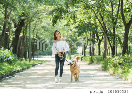 a happy young woman taking a walk with her dog in the park a happy young woman taking a walk with her dog in the park 105650585