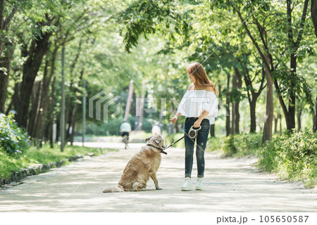 a happy young woman taking a walk with her dog in the park 105650587