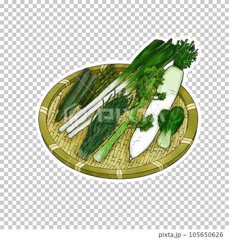 ざるに乗せた緑黄色野菜のイラスト素材 105650626