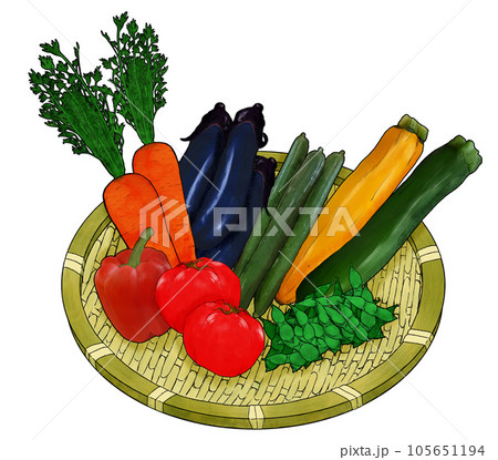 ざるに乗せた夏の緑黄色野菜のイラスト素材 ざるに乗せた夏の緑黄色野菜のイラスト素材 105651194