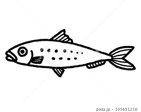 鰯・イワシ・魚・線画 105651216