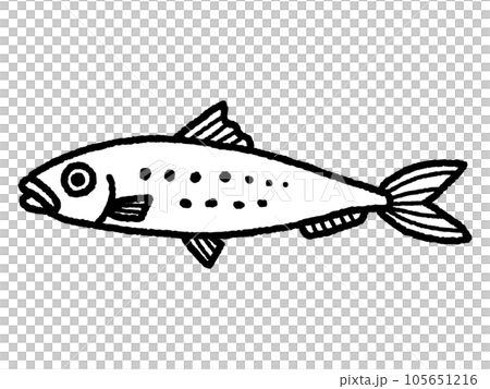 鰯・イワシ・魚・線画 105651216