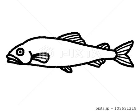 鮎・アユ・魚・線画 105651219