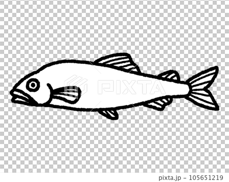 鮎・アユ・魚・線画 105651219