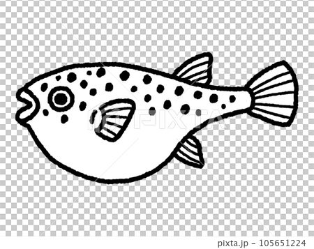 河豚・フグ・魚・線画 河豚・フグ・魚・線画 105651224