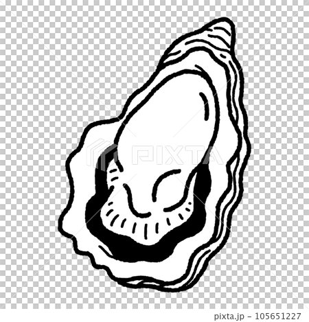 牡蠣,牡蠣,貝類,畫線 牡蠣,牡蠣,貝類,畫線 105651227