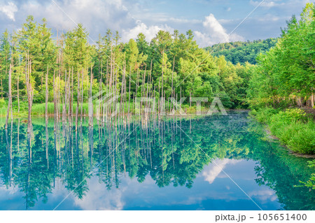 (北海道)夏の青い池 (北海道)夏の青い池 105651400