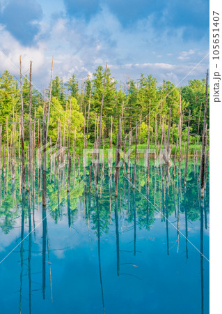 (北海道)夏の青い池 (北海道)夏の青い池 105651407