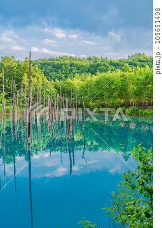 (北海道)夏の青い池 (北海道)夏の青い池 105651408