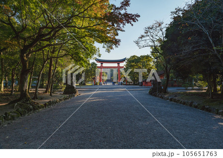 大分 宇佐神宮 表参道と大鳥居 105651763