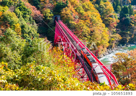 秋の黒部峡谷:新山彦橋を走るトロッコ電車 秋の黒部峡谷:新山彦橋を走るトロッコ電車 105651893