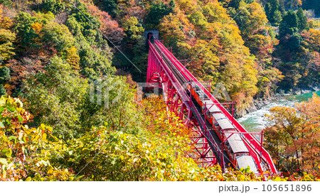 秋の黒部峡谷:新山彦橋を走るトロッコ電車 秋の黒部峡谷:新山彦橋を走るトロッコ電車 105651896
