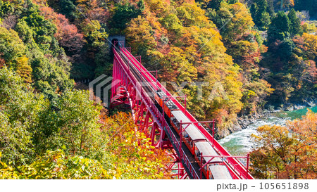 秋の黒部峡谷:新山彦橋を走るトロッコ電車 秋の黒部峡谷:新山彦橋を走るトロッコ電車 105651898