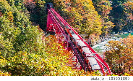 秋の黒部峡谷:新山彦橋を走るトロッコ電車 秋の黒部峡谷:新山彦橋を走るトロッコ電車 105651899