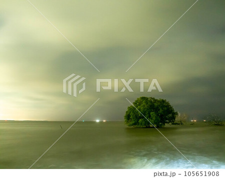 Sunrise twilight sky at sea beach with tree under sea water in morning Sunrise twilight sky at sea beach with tree under sea water in morning 105651908