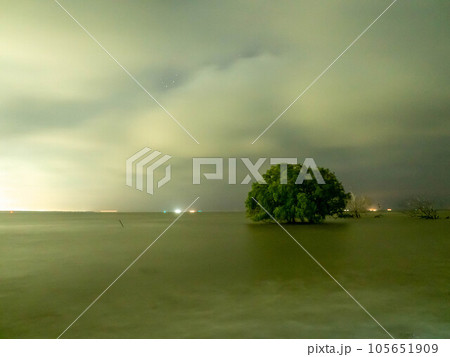 Sunrise twilight sky at sea beach with tree under sea water in morning 105651909