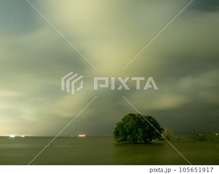 Sunrise twilight sky at sea beach with tree under sea water in morning Sunrise twilight sky at sea beach with tree under sea water in morning 105651917