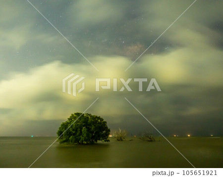 Sunrise twilight sky at sea beach with tree under sea water in morning Sunrise twilight sky at sea beach with tree under sea water in morning 105651921