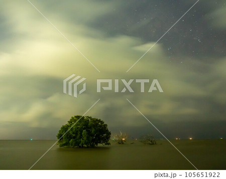 Sunrise twilight sky at sea beach with tree under sea water in morning Sunrise twilight sky at sea beach with tree under sea water in morning 105651922