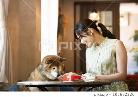 ドックカフェで愛犬と食事をする若い女性 ドックカフェで愛犬と食事をする若い女性 105652226