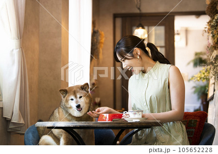 ドックカフェで愛犬と食事をする若い女性 ドックカフェで愛犬と食事をする若い女性 105652228