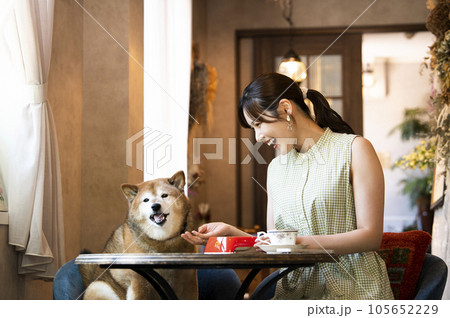 ドックカフェで愛犬と食事をする若い女性 105652229