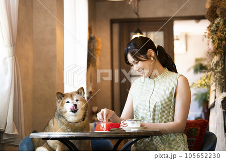 ドックカフェで愛犬と食事をする若い女性 105652230