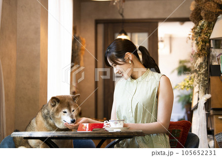ドックカフェで愛犬と食事をする若い女性 105652231