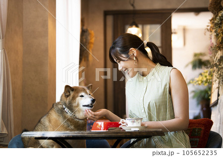 ドックカフェで愛犬と食事をする若い女性 105652235