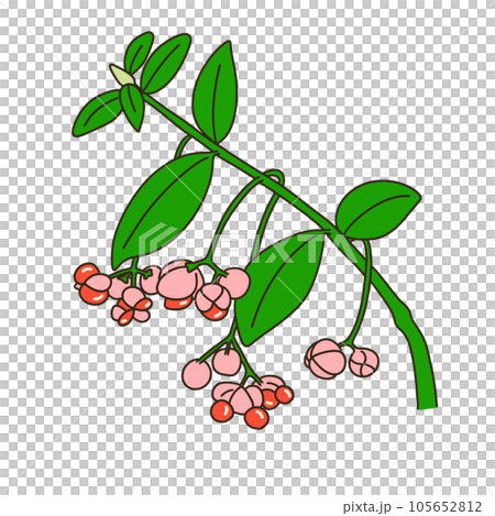 Mayumi - Stock Illustration [105652812] - PIXTA