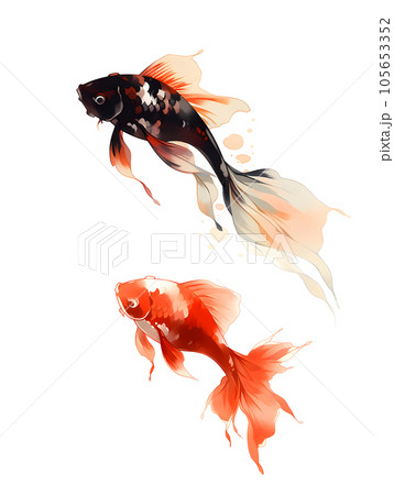 水彩画の金魚のイラスト素材 [105653352] - PIXTA