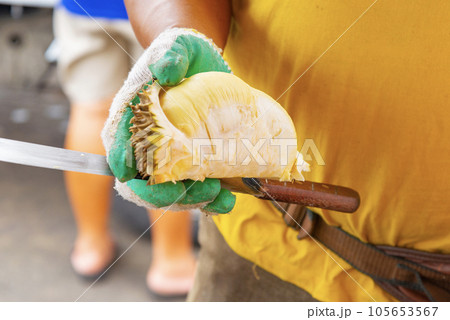 フルーツの王様ドリアン果実 105653567