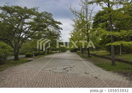 秩父ミューズパーク　埼玉県秩父市・小鹿野町 105653932