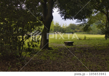 秩父ミューズパーク　芝生広場　埼玉県秩父市・小鹿野町 105653941