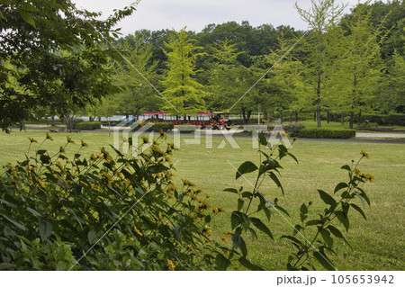 秩父ミューズパーク　芝生広場とスカイロードトレイン　埼玉県秩父市・小鹿野町 105653942