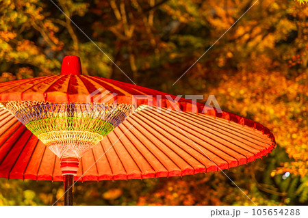 東京駒込の秋 六義園 紅葉ライトアップ 東京駒込の秋 六義園 紅葉ライトアップ 105654288