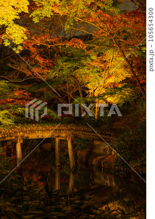 東京駒込の秋 六義園 紅葉ライトアップ 東京駒込の秋 六義園 紅葉ライトアップ 105654300
