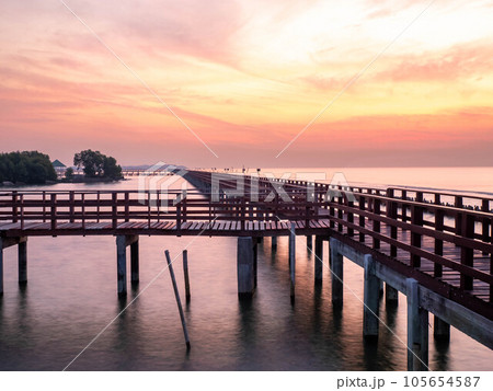 Sea view near mangrove forest with man made wooden barrier for wave protection, under morning twilight colorful sky Sea view near mangrove forest with man made wooden barrier for wave protection, under morning twilight colorful sky 105654587